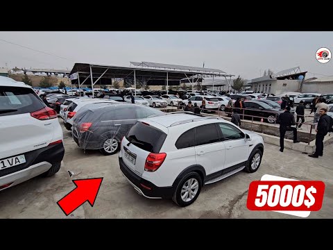 Видео: 3 НОЯБРЬ КАПТИВА ТРЕККЕР ЭКУНОКС НАРХЛАРИ ТУШМОКДА..АВТО ОЛАМ 