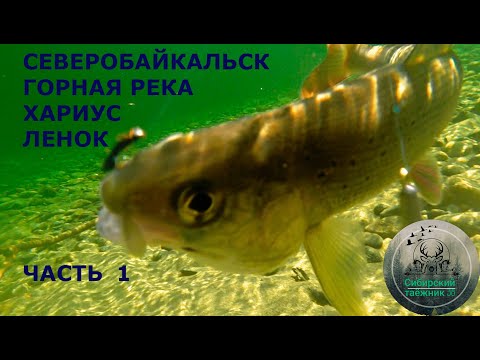 Видео: Рыбалка на ХАРИУСА и ЛЕНКА , горная река , пороги  в Северобайкальске . ЧАСТЬ  1.