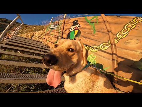 Видео: Дени покоряет гору🏔 Случайно попали на нудистский пляж🙈Мэни принимает ванную🛁 Анапа 2022