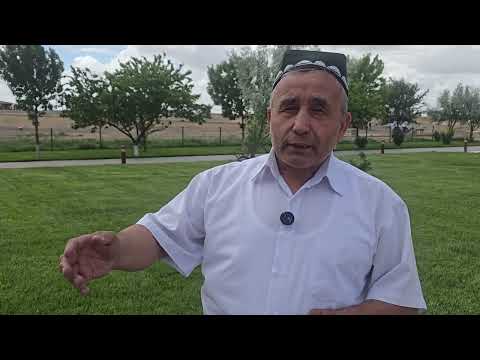 Видео: Туркестон.Султан Робия бегим.18.05.2025.