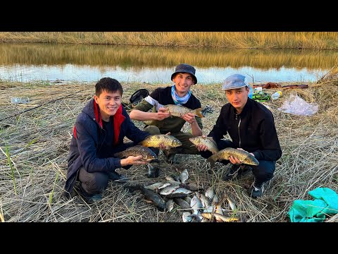 Видео: КӨКТЕМГІ ҚАРМАҚПЕН САЗАН БАЛЫҒЫН АУЛАУ, САЛСАҢ АЛАСЫҢ !!!