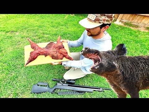 Видео: Охота и приготовление пищи на кабанах с помощью пневматического ружья