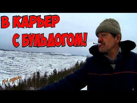 Видео: Один день среди бомжей / 194 серия - В карьер с Бульдогом! (18+)