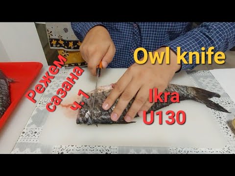 Видео: Режем сазана.Часть 1. Owl Knife: Ikra и u130