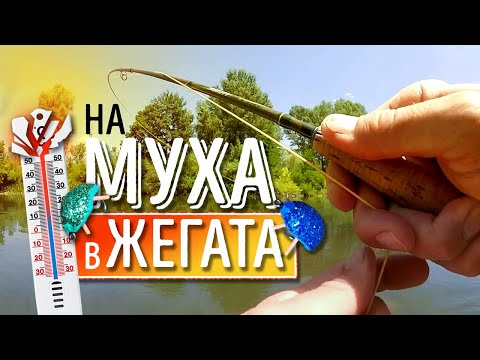 Видео: За кефали в жегата по Струма