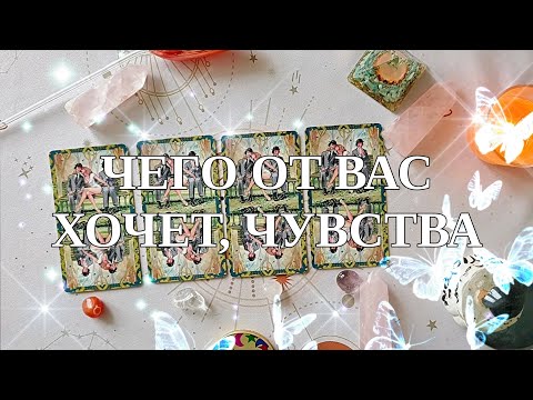 Видео: ЧЕГО ОН ОТ ВАС ХОЧЕТ, ЧТО ЧУВСТВУЕТ♥️💌Таро🔮Гадание на картах Таро✨✨✨