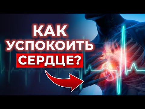 Видео: Травяные настойки для сердца | Валериана лекарственная, чабрец, мята, мелисса, пустырник🌱🌿