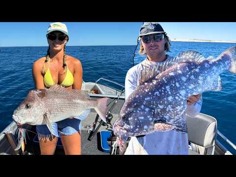 Видео: Огромный SNAPPER | Ловля на джиг больших красных щук | Gnaraloo