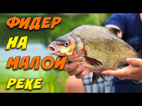 Видео: НАШЛИ ЛЕЩА! ЛЕЩ на малой реке! Рыбалка на фидер 2021 !