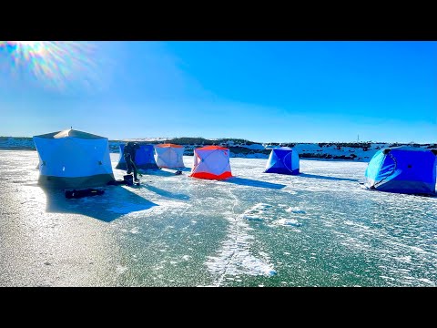 Видео: РЫБАЛКА 2024 С НОЧЕВКОЙ В ПАЛАТКЕ