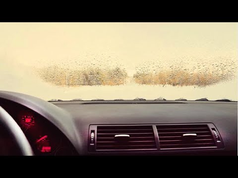 Видео: ЭТОГО ВАМ НЕ РАССКАЖУТ даже СТОшники