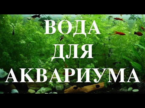 Видео: Какую воду заливать в аквариум