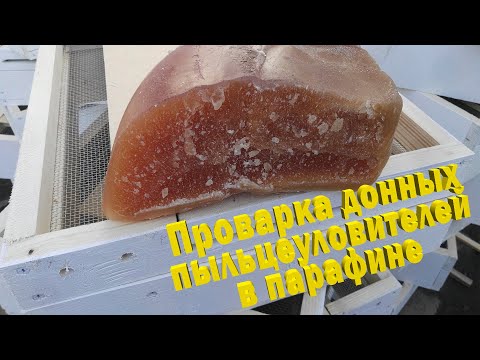 Видео: Пасека Буньковых| Проварка в парафине донных пыльцеуловителей
