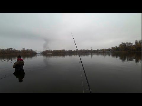 Видео: 🎣 ДЖИГ з Берега у Листопаді: Як Ловити  Коли Холодно?