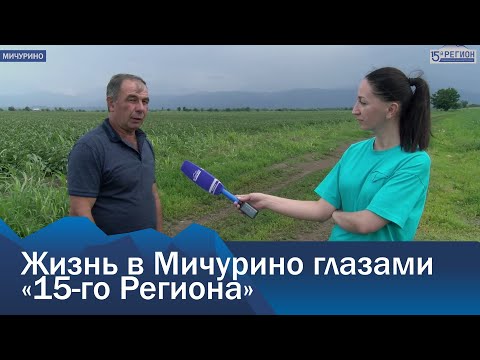 Видео: Жизнь в Мичурино глазами «15-го Региона»