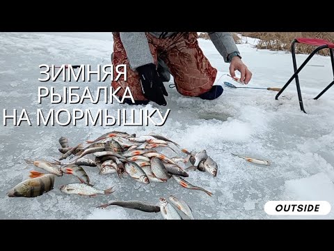 Видео: ДЕД НАУЧИЛ РЫБАЧИТЬ И НАЧАЛСЯ БЕШЕНЫЙ КЛЕВ. ЗИМНЯЯ РЫБАЛКА НА МОРМЫШКУ. РЫБАЛКА 2025