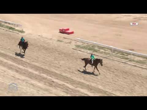 Видео: Ат Чабыш / 2-бөлүк