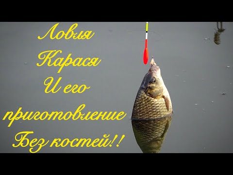Видео: Ловля карася на поплавок с шикарным его приготовлением без костей!!!