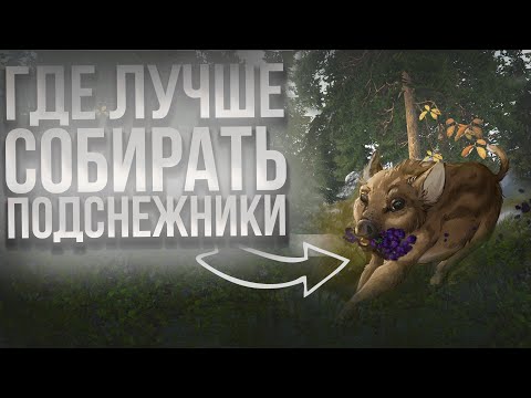 Видео: ВЕЗУВИЙ ИЛИ ТУНГУСКА ДЛЯ ФАРМА ПОДСНЕЖНИКОВ? STAY OUT
