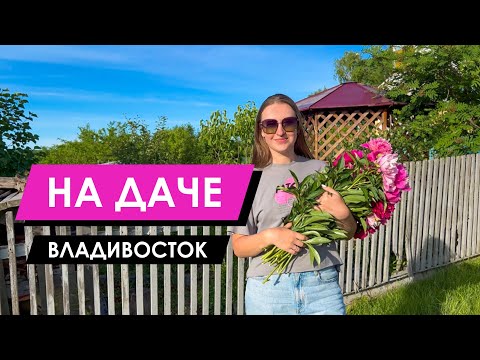 Видео: Владивосток. Дача 🏡 | Море цветов и удивительная природа