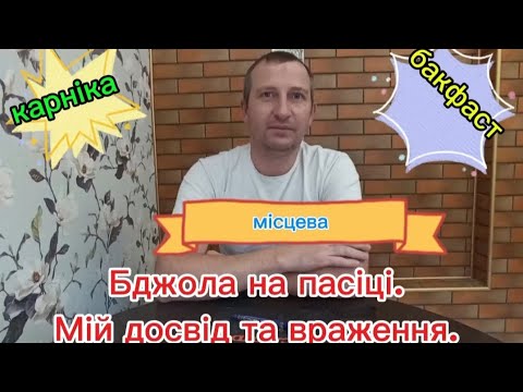Видео: Породи бджіл з якими мали змогу працювати.