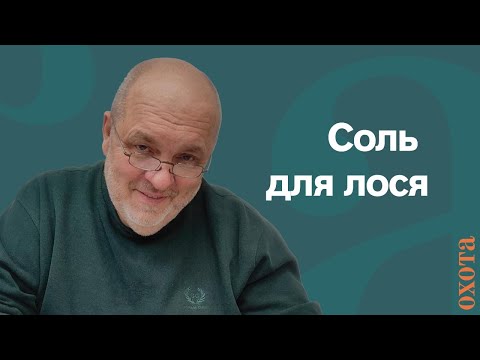 Видео: Соль для лося. Валерий Кузенков, когда лучше ставить солонец?