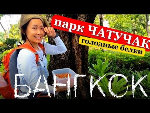 Видео: ПАРК ЧАТУЧАК.. ВАРАНЫ И голодные БЕЛКИ . Секрет чатучакского стоунхенджа