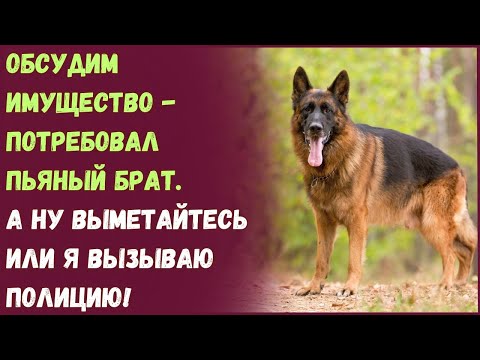 Видео: Обсудим имущество - потребовал пьяный брат. А ну выметайтесь или я вызываю полицию!