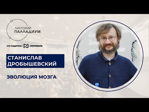 Видео: Станислав Дробышевский, "Эволюция мозга"