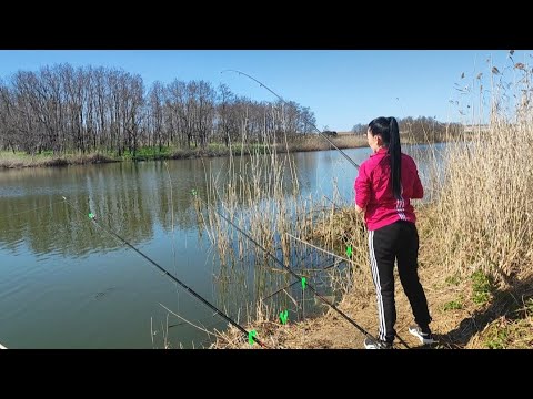 Видео: ОТЛИЧНАЯ РЫБАЛКА)СТ.ВАСЮРИНСКАЯ .Отдых всей СЕМЬЁЙ !!!2023г.