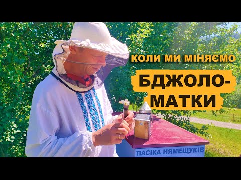Видео: В який період краще міняти матки?