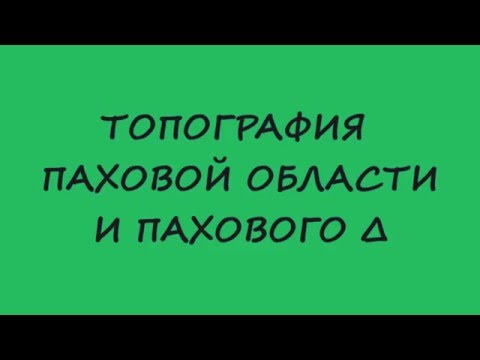 Видео: Топография паховой области и пахового треугольника