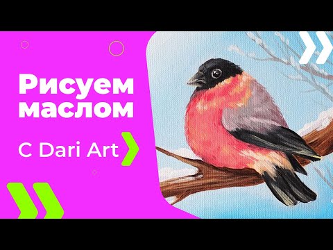 Видео: Как нарисовать/написать снегиря маслом! #Dari_Art