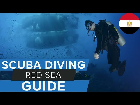 Видео: Руководство по дайвингу в Красном море с @MasterLiveaboards #scuba #redsea
