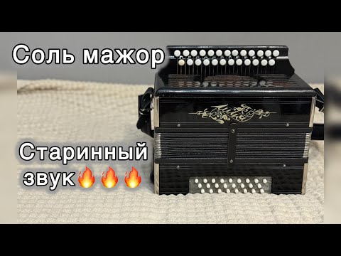 Видео: Гармонь Шуя в продаже, старинный звук