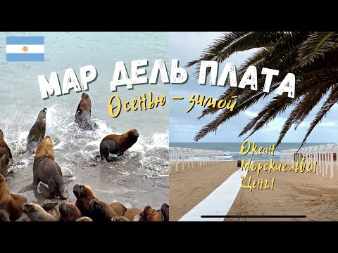 Видео: Мар-дель-Плата: главный курорт Аргентины не в сезон | Цены, морские львы, океан