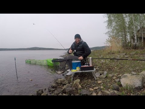Видео: Фидер. Рыбалка на Волчихе. Рыбалка на новом месте