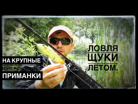 Видео: ЖОР  щуки летом, на поверхностные приманки и не только. неожиданный результат!