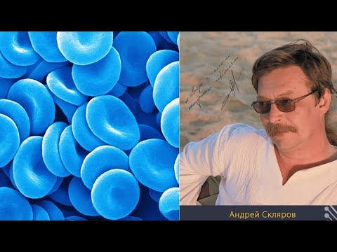 Видео: 3/5  Скляров Какова ты, родина богов?