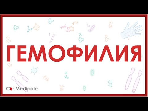 Видео: Гемофилия - что такое, механизм развития, симптомы, принцип лечения