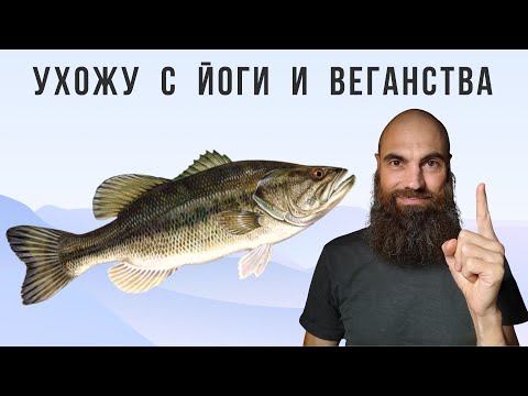 Видео: Год веганства за спиной | Марк Бондаренко