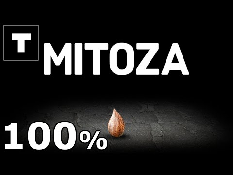 Видео: Mitoza - 100% Прохождение | Все Достижения