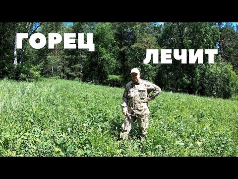 Видео: Лечим диарею (понос) у кроликов, также помогает от вздутия/Горец Змеиный