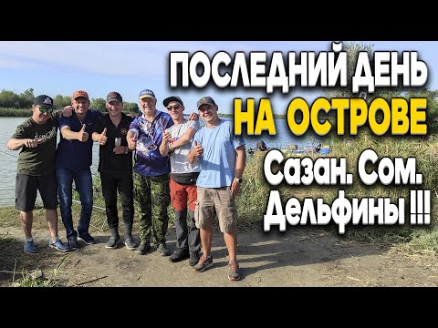 Видео: В последний день рыбалки на Дунае, Дядя Фёдор ловит сазана, сома, и купается с дельфинами!