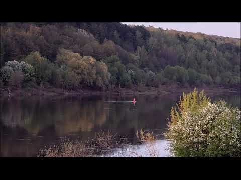 Видео: Таруса. Пейзажи реки Оки. Май 2023 года.