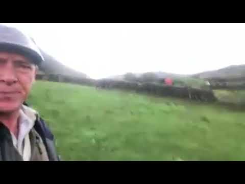 Видео: Это всё #Cop26 #фермерство #еда #говядина