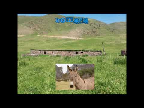 Видео: Быстровка Кемин