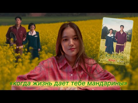Видео: 9 причин, почему я так люблю дораму «когда жизнь дает тебе мандарины» 🍊