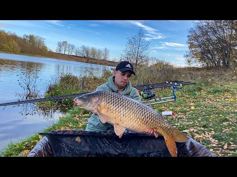 Видео: ЯК і на ЩО піймати КОРОПА в ЛИСТОПАДІ! Осінній КАРПФІШИНГ 2023!