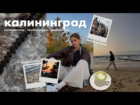 Видео: 📍Что посмотреть в Калининграде: отменили рейс, разбила квадрокоптер, Зеленоградск | влог